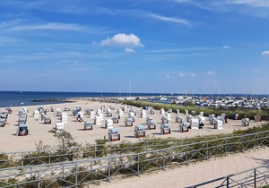 Holidays - rest - nature - Baltic Sea - horse farm - family business! Apartment No. 2