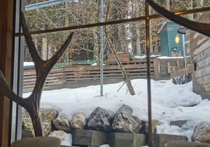Kaiserhaus Harald Astner Ebbs Studio 2