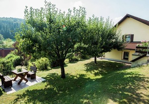 Luring Apartment in Plankenstein near Forest