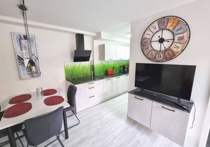 Modern furnished vacation apartment (46 sqm) for up to 4 people with south-facing terrace