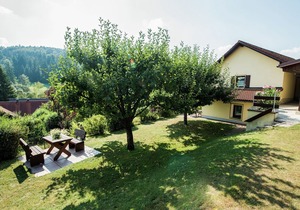 Modish Apartment in Plankenstein near Forest