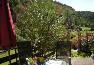 Nature and recreation in Franconian Switzerland