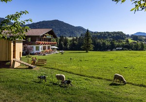 New 6 Alpendistel for 1-6 persons, approx. 56 m²
