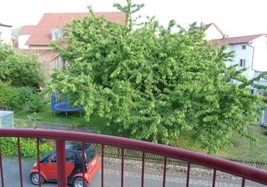 Newly furnished vacation apartment with accessibility