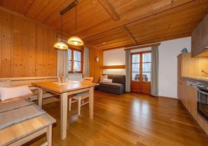 "Nr.2" apartment/1 bedroom/shower, toilet - Hanslbauer, holiday apartments