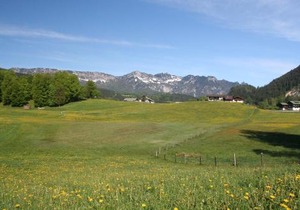 Oberreitlehen