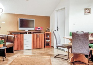 One-Bedroom Apartment in Grafenwiesen