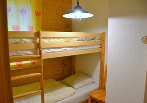 Outside : luxury modern apartment on the ground floor of a chalet, for 6-7 persons, terrace with a b