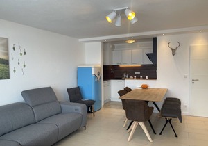 Renovated 4-room apartment (521) in the Oberallgäu vacation park