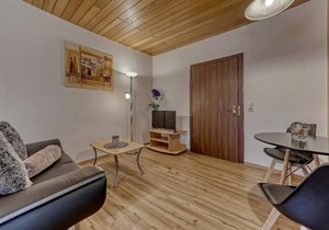 Schönes 38qm Appartement mit kombinierten Wohn/Schlafzimmer und Balkon