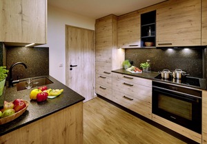 Untersberg, 1-4 Personen, ca. 50 qm, 1 Schlafzimmer 2x Dusche/WC, Wohnschlafraum, Küche, Balkon
