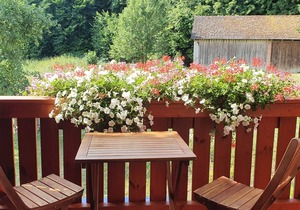 Vacation apartment 3 - Gasthaus Zum Schneider