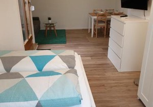 Wohlfühl-Apartment Bad Kissingen III
