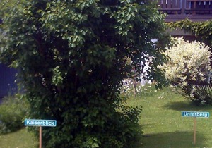 Zwei-Raum-Wohnung Kaiserblick, 35 qm, Küche und Balkon und sep. Schlafzimmer