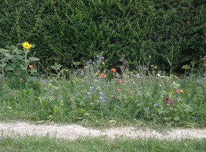 The Ferienwohnungen Flora | Bad Windsheim