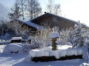 Bosch Hermann Junior Grassau | Grassau
