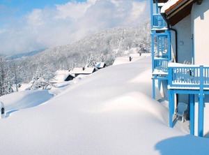 Apartments Sonnenwald Langfurth Bayerischer Wald Persons | Schofweg