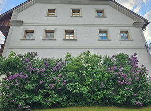 Gemütliche Mit Terrasse Und Streichelzoo | Ringelai