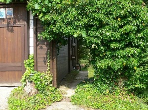 Ferienwohnungen Waldblick | Herzogau