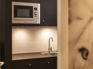 The Leo | Mitte