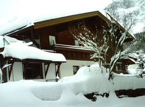 Kirschbaum | Ehrwald