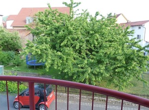 Ferienwohnung Der Staffelstein | Staffelstein