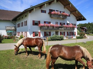 Siegsdorf | Siegsdorf