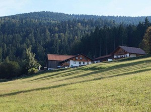 Zum Veitbauern Lam | Lam