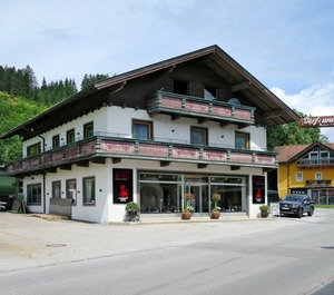 Bergart 