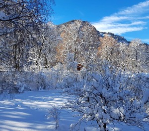 Pers Landhaus Schanzblick 