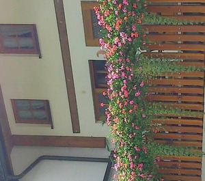 Haus Rosenhof 