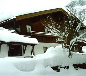 Kirschbaum 