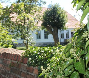 Steffenshagen Fireplace 