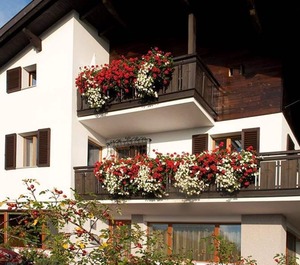 Haus 