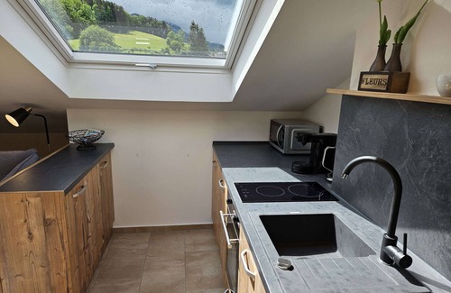 Muhlwinkl Apartment | 1-raum Ferienwohnung 30qm im Dachgeschoss mit Südbalkon/bergblick