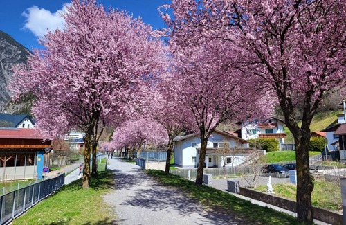 Rifenal Apartment | 110 m² Apartment ∙ 3 bedrooms ∙ 7 guests