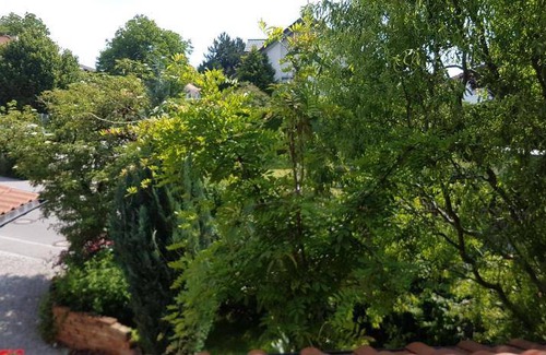 Wessling Bed & Breakfast | 17 m² Bed and breakfast ∙ 2 guests