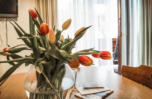 Wildschoenau Apartment | 20 m² Apartment ∙ 1 bedroom ∙ 2 guests