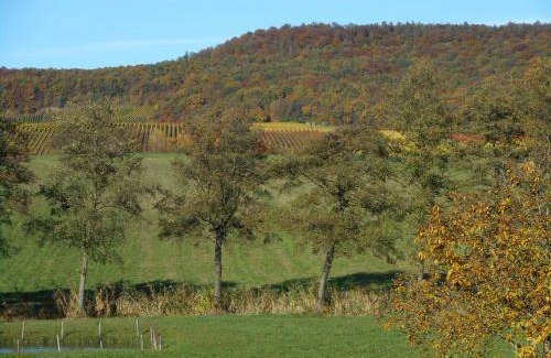 Oberschwarzach Bed & Breakfast | 22 m² Bed and breakfast ∙ 2 guests