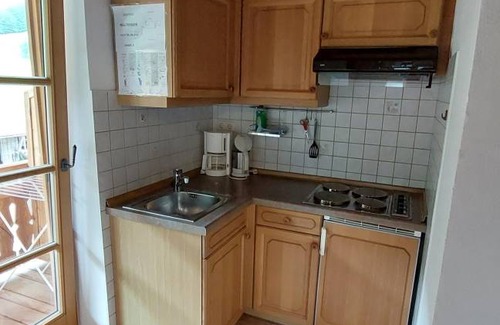 Weissbach an der Alpenstrasse Apartment | 25 m² Apartment ∙ 2 guests