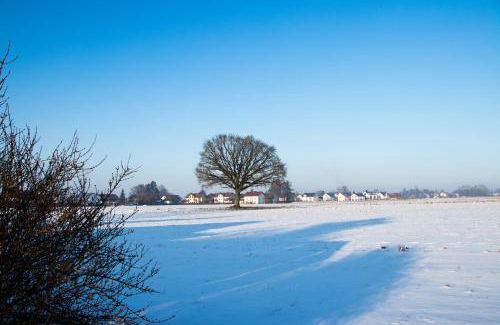 Ebersberg District Bed & Breakfast | 25 m² Bed and breakfast ∙ 3 guests