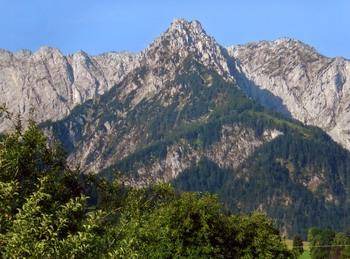 Walchsee Apartment | 40 m² Apartment ∙ 1 bedroom ∙ 3 guests