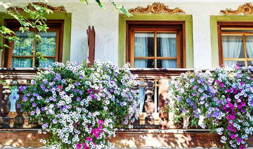 Rottach Hotel | 40 m² Hotel ∙ 3 guests