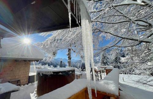 Jungholz Cabin | 40 m² Lodge ∙ 3 guests