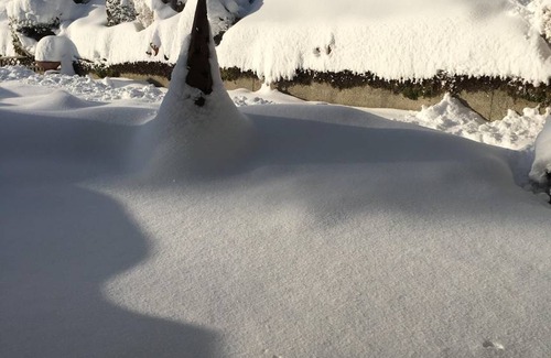 Telfes im Stubai Apartment | 43 m² Apartment ∙ 1 bedroom ∙ 2 guests