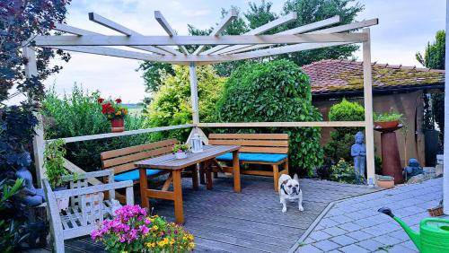 Adelzhausen Apartment | 50 m² Apartment ∙ 1 bedroom ∙ 2 guests