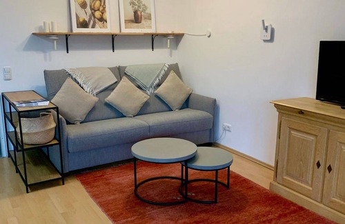 Schwarzenbach Apartment | 55 m² Apartment ∙ 1 bedroom ∙ 4 guests
