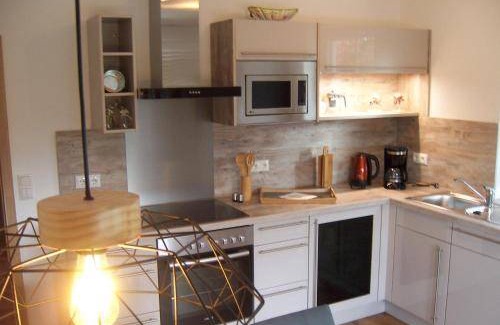 Pleystein Apartment | 55 m² Apartment ∙ 4 guests