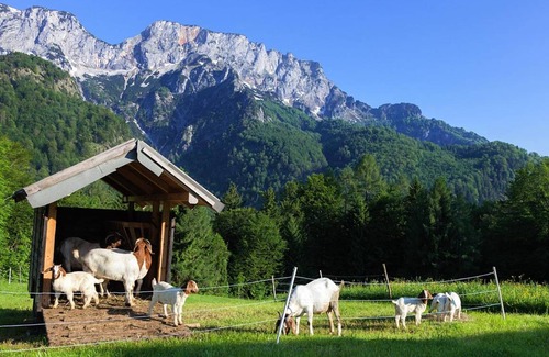 Marktschellenberg Apartment | 60 m² Apartment ∙ 2 bedrooms ∙ 5 guests
