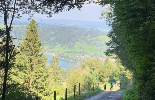 Buhl am Alpsee Apartment | 65 m² Apartment ∙ 3 bedrooms ∙ 6 guests